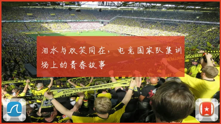泪水与欢笑同在,电竞国家队集训场上的青春故事