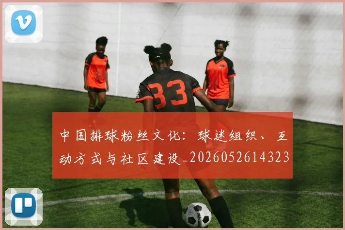 中国排球粉丝文化：球迷组织、互动方式与社区建设_20260526143235_20260703202650